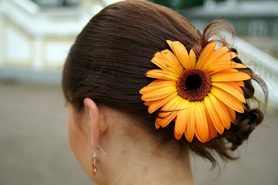 Bridal Hair with Gerbera Daisy. Back to Wedding Hairstyles