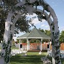 Vendor Photo