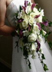 Vendor Photo
