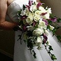 Vendor Photo