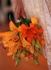 Vendor Photo
