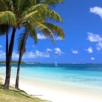 Palm trees, white sand and clear blue waters line the shore on the island of Mauritius.