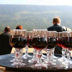 Wedding guests congregate as red wine is being served at the cocktail hour.
