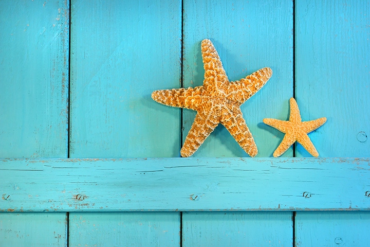 Simple starfish decorate an outdoor, beach-themed wedding.