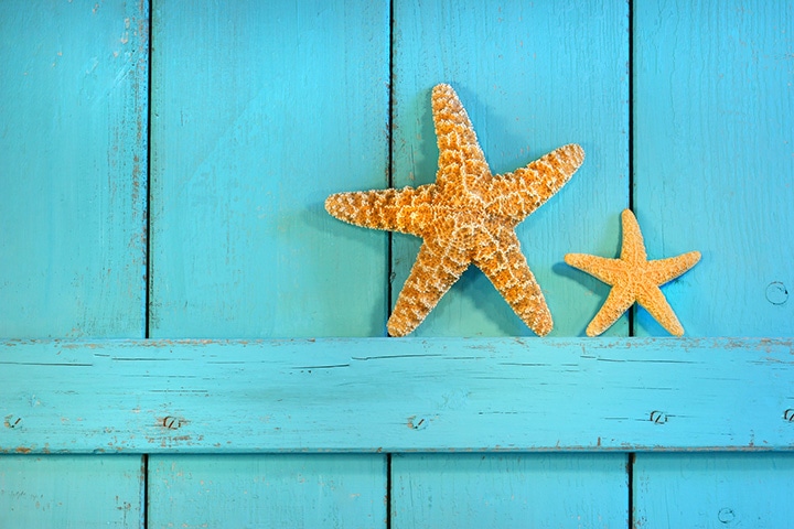 Simple starfish decorate an outdoor, beach-themed wedding.